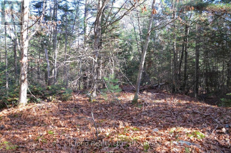 3 PARKER BAY ROAD, Whitestone, Ontario, P0A1G0