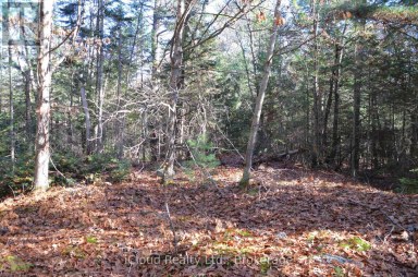 3 PARKER BAY ROAD Whitestone Ontario photo 5
