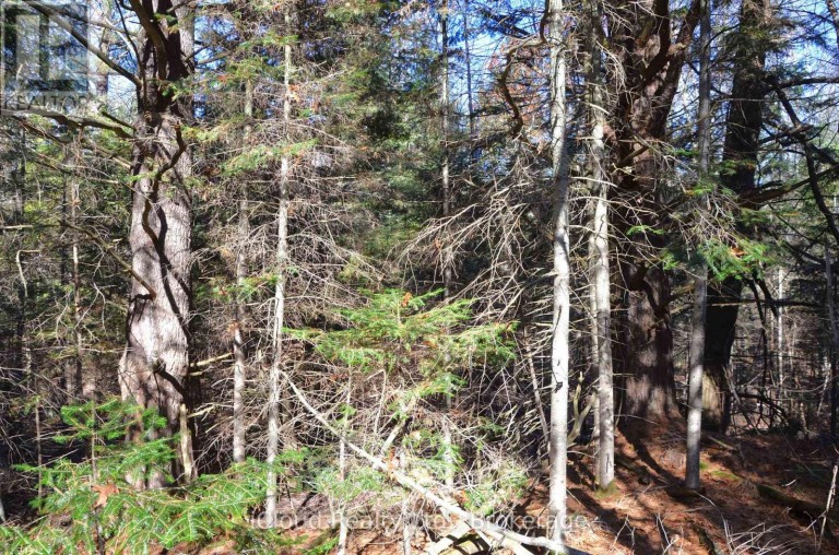 3 PARKER BAY ROAD, Whitestone, Ontario, P0A1G0