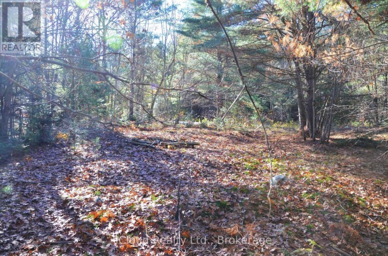3 PARKER BAY ROAD, Whitestone, Ontario, P0A1G0