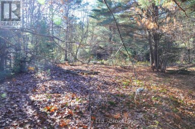 3 PARKER BAY ROAD Whitestone Ontario photo 7