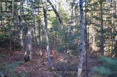 2 PARKER BAY ROAD Whitestone Ontario photo 12