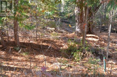 2 PARKER BAY ROAD Whitestone Ontario photo 14