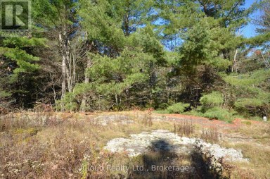 2 PARKER BAY ROAD Whitestone Ontario photo 2