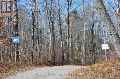 2 PARKER BAY ROAD Whitestone Ontario photo 22