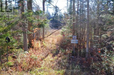 2 PARKER BAY ROAD Whitestone Ontario photo 27
