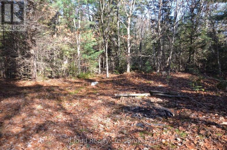 2 AND 3 PARKER BAY ROAD, Whitestone, Ontario, P0A1G0