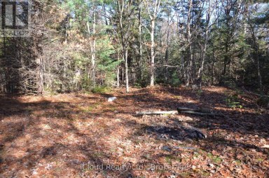 2 AND 3 PARKER BAY ROAD Whitestone Ontario photo 22
