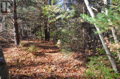 2 AND 3 PARKER BAY ROAD Whitestone Ontario photo 27