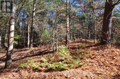 2 AND 3 PARKER BAY ROAD Whitestone Ontario photo 29