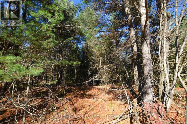 2 AND 3 PARKER BAY ROAD, Whitestone, Ontario, P0A1G0