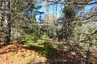 2 AND 3 PARKER BAY ROAD Whitestone Ontario photo 5
