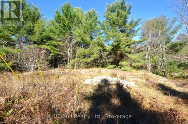 2 AND 3 PARKER BAY ROAD Whitestone Ontario photo 6