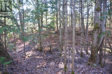 2 AND 3 PARKER BAY ROAD Whitestone Ontario photo 8