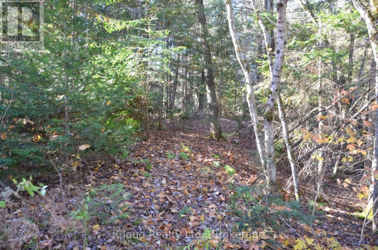 2 AND 3 PARKER BAY ROAD, Whitestone, Ontario, P0A1G0