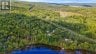 10A MCMASTER LAKE LANE, Madawaska Valley, Ontario, K0J1B0 (ID X13697086)