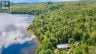 10A MCMASTER LAKE LANE, Madawaska Valley, Ontario, K0J1B0 (ID X13697086)