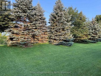 54 NEW YORK AVENUE Wasaga Beach Ontario photo 38