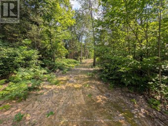 0 FOREST LAKE ROAD Joly Ontario photo 10