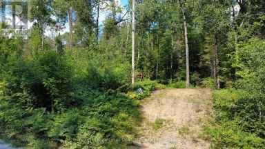 0 FOREST LAKE ROAD Joly Ontario photo 6