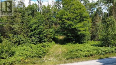 0 FOREST LAKE ROAD Joly Ontario photo 7