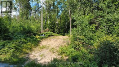 0 FOREST LAKE ROAD Joly Ontario photo 8
