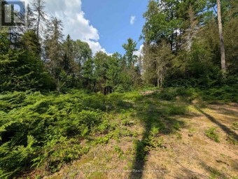 0 FOREST LAKE ROAD Joly Ontario photo 9