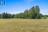 1059B CEDAR GROVE ROAD, Brudenell, Lyndoch And Raglan, Ontario, K0J2E0 (ID X13697672)