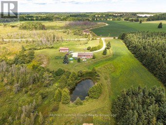 449686 10TH CONCESSION ROAD Grey Highlands Ontario photo 33