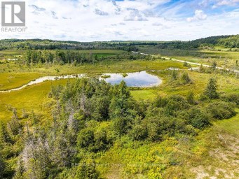449686 10TH CONCESSION ROAD Grey Highlands Ontario photo 35