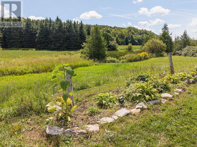 449686 10TH CONCESSION ROAD, Grey Highlands, Ontario, N0C1M0