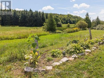 449686 10TH CONCESSION ROAD Grey Highlands Ontario photo 38