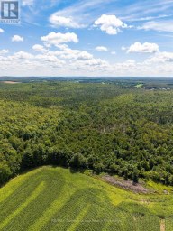 449686 10TH CONCESSION ROAD Grey Highlands Ontario photo 40