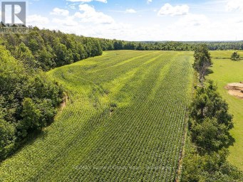 449686 10TH CONCESSION ROAD Grey Highlands Ontario photo 45