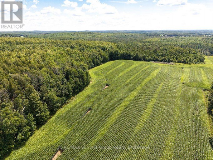 449686 10TH CONCESSION ROAD, Grey Highlands, Ontario, N0C1M0