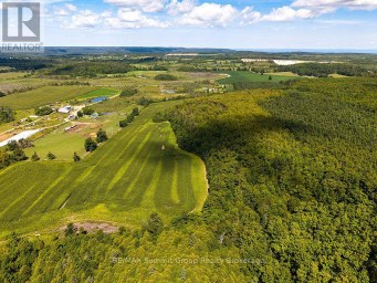 449686 10TH CONCESSION ROAD Grey Highlands Ontario photo 47
