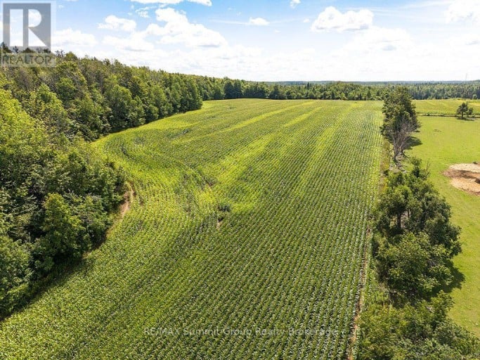 449686 10TH CONCESSION ROAD, Grey Highlands, Ontario, N0C1M0
