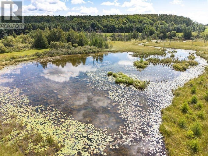 449686 10TH CONCESSION ROAD, Grey Highlands, Ontario, N0C1M0