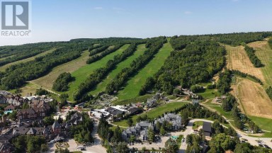 313 - 107 ANN HEGGVEIT DRIVE Blue Mountains Ontario photo 18