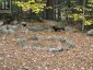 134 CARSON HEIGHTS ROAD, Madawaska Valley, Ontario, K0J1B0 (ID X13698404)