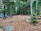 134 CARSON HEIGHTS ROAD, Madawaska Valley, Ontario, K0J1B0 (ID X13698404)