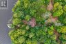 1052 SKIN LAKE DRIVE, Algonquin Highlands (mcclintock), Ontario, P0A1E0 (ID X13698620)