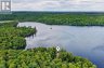 1052 SKIN LAKE DRIVE, Algonquin Highlands (mcclintock), Ontario, P0A1E0 (ID X13698620)