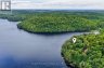 1052 SKIN LAKE DRIVE, Algonquin Highlands (mcclintock), Ontario, P0A1E0 (ID X13698620)