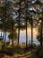 1052 SKIN LAKE DRIVE, Algonquin Highlands (mcclintock), Ontario, P0A1E0 (ID X13698620)