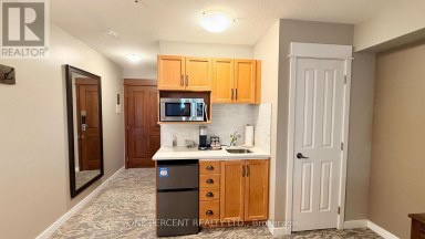 231 - 156 JOZO WEIDER BOULEVARD Blue Mountains Ontario photo 7