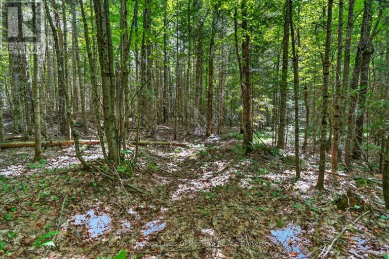695 BAY LAKE ROAD, Perry (Emsdale), Ontario, P0A1J0