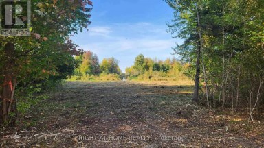 15 CONCORD ROAD West Nipissing (Sturgeon Falls) Ontario photo 15