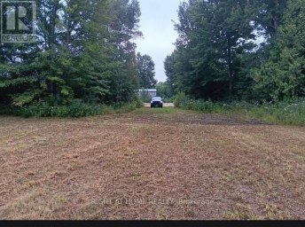15 CONCORD ROAD West Nipissing (Sturgeon Falls) Ontario photo 2