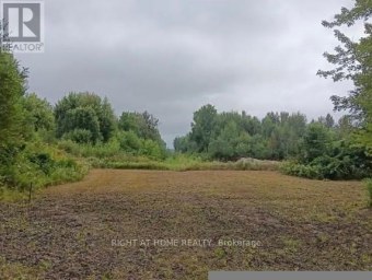 15 CONCORD ROAD West Nipissing (Sturgeon Falls) Ontario photo 3